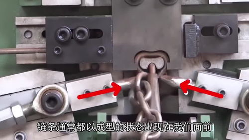 五种日常用品的自动化生产之旅 从全自动剥皮鸡蛋看如何解放双手